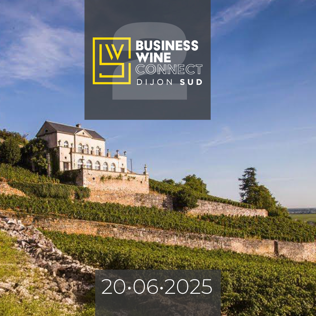 chateau-gris-2